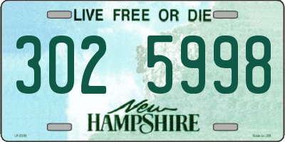 NH license plate 3025998