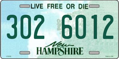 NH license plate 3026012
