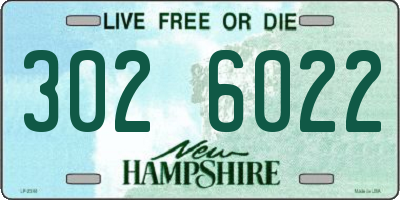 NH license plate 3026022