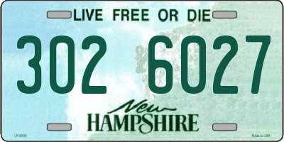 NH license plate 3026027