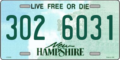 NH license plate 3026031