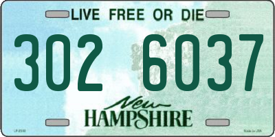 NH license plate 3026037