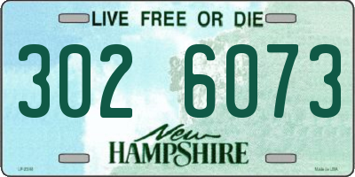 NH license plate 3026073