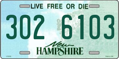 NH license plate 3026103
