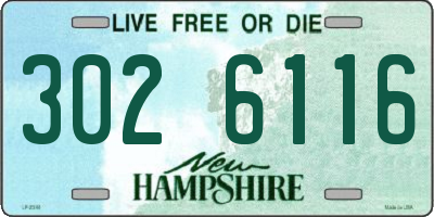 NH license plate 3026116