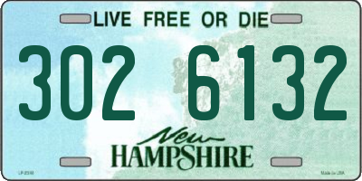 NH license plate 3026132