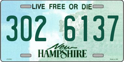 NH license plate 3026137