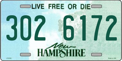 NH license plate 3026172