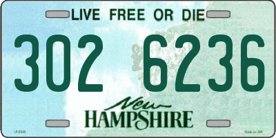 NH license plate 3026236