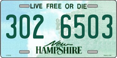 NH license plate 3026503