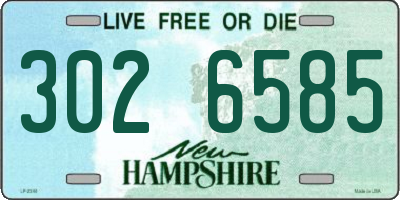 NH license plate 3026585