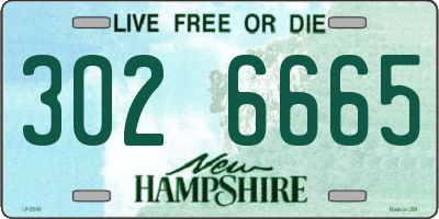 NH license plate 3026665