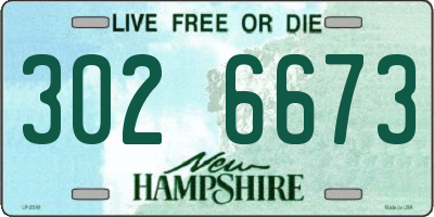 NH license plate 3026673
