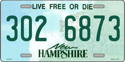 NH license plate 3026873