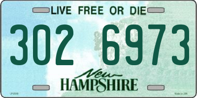 NH license plate 3026973