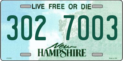 NH license plate 3027003