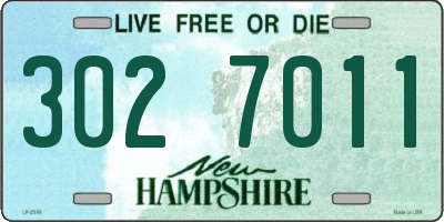 NH license plate 3027011