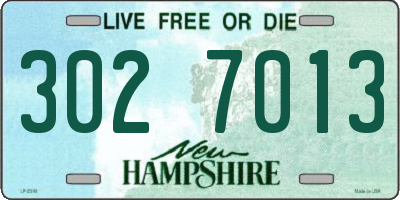 NH license plate 3027013