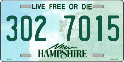 NH license plate 3027015