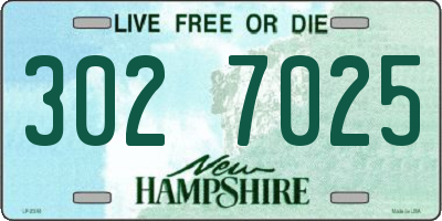 NH license plate 3027025