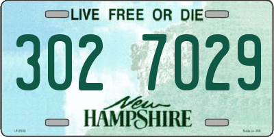 NH license plate 3027029