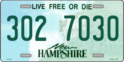 NH license plate 3027030