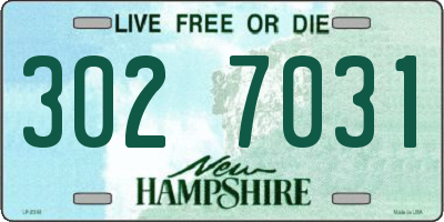 NH license plate 3027031