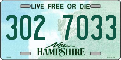 NH license plate 3027033