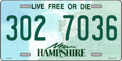 NH license plate 3027036