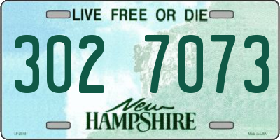 NH license plate 3027073