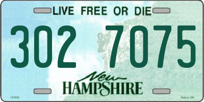 NH license plate 3027075