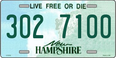 NH license plate 3027100