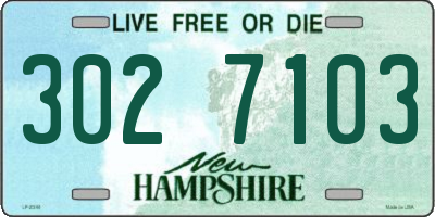 NH license plate 3027103