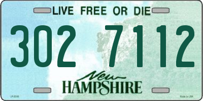 NH license plate 3027112