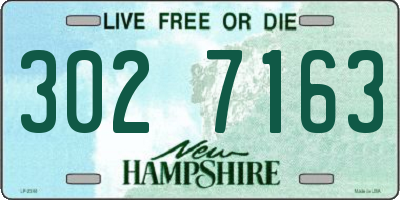 NH license plate 3027163