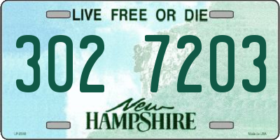NH license plate 3027203