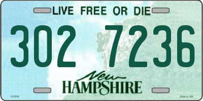 NH license plate 3027236