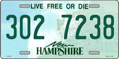 NH license plate 3027238
