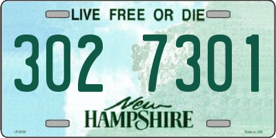 NH license plate 3027301