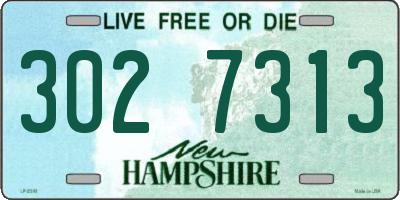 NH license plate 3027313