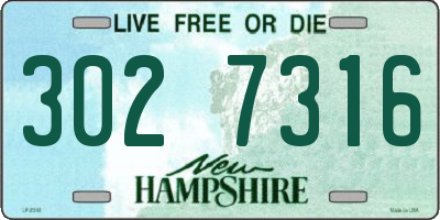 NH license plate 3027316