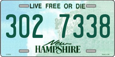 NH license plate 3027338