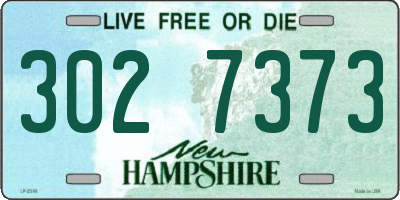NH license plate 3027373