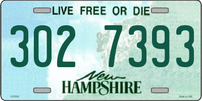 NH license plate 3027393