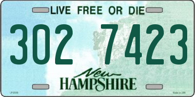 NH license plate 3027423