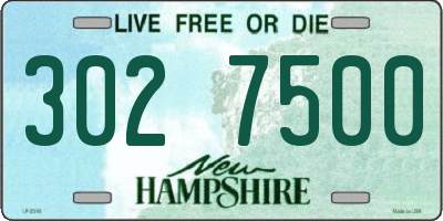 NH license plate 3027500