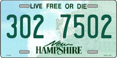 NH license plate 3027502