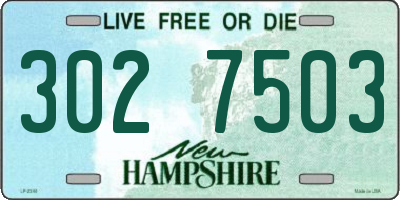 NH license plate 3027503