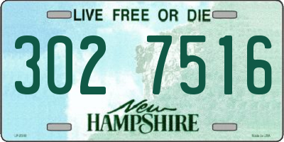 NH license plate 3027516