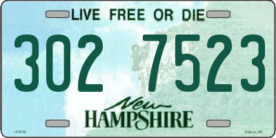 NH license plate 3027523